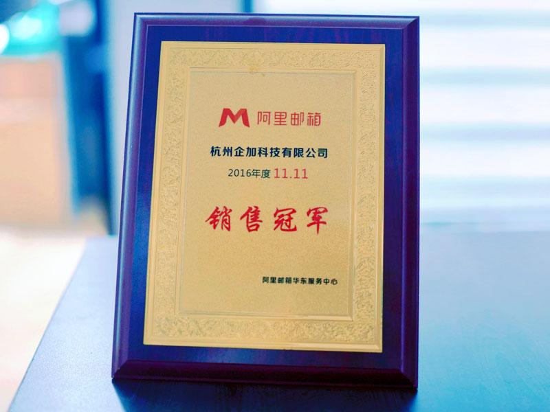 2016年度销售冠军