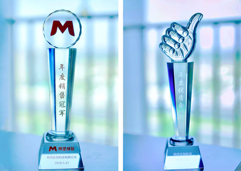 2018年度销售冠军.jpg